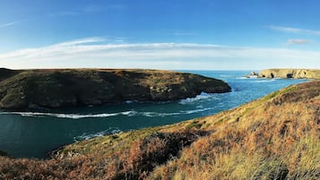 Plage à proximité, serviettes de plage