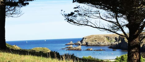 بالقرب من الشاطئ، مناشف للشاطئ