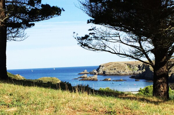 Plage à proximité, serviettes de plage