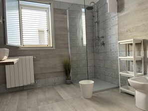 Shower, hair dryer, bidet, towels