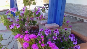 Un jardín con flores moradas y un banco de piedra.