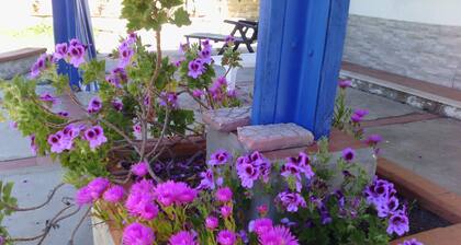 Blue Villa - Marine protected area of Plemmirio