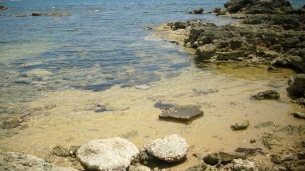 Una costa rocosa con aguas cristalinas y una masa de tierra a lo lejos.