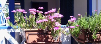 Blue Villa - Marine protected area of Plemmirio
