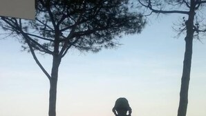 Eine Person geht an einer Uferpromenade entlang, gesäumt von Bäumen und mit einem Pool.