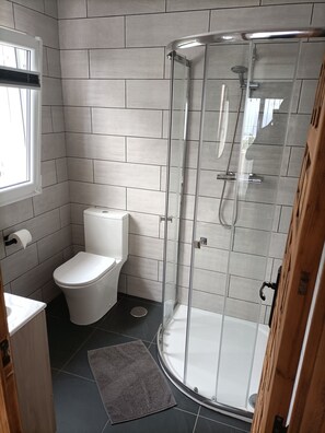 Combined shower/tub, hair dryer, towels