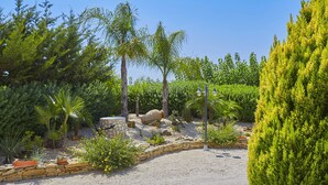 A landscaped garden with various plants, a stone wall, and a gravel path. - Villa with swimming pool a few km from the sea Selinunte (Partanna)
