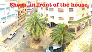 Vista de la calle con tiendas frente a edificios residenciales, palmeras y coches aparcados.