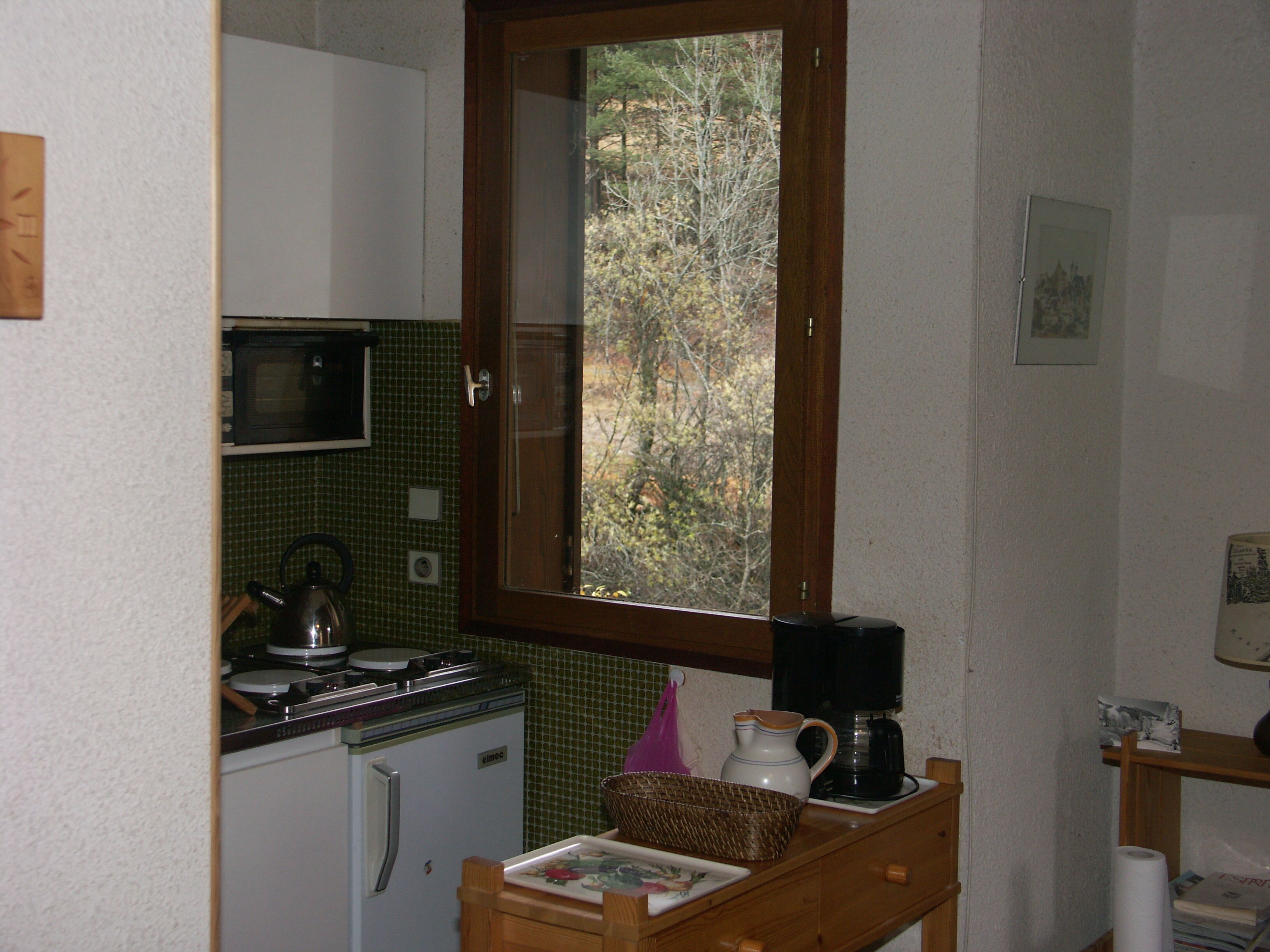 A compact kitchen with a microwave, stove, and a window overlooking a wooded area.