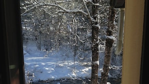 Paesaggio innevato con alberi e un fiume, vista da una finestra.