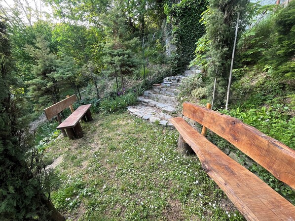 Um banco de madeira e degraus de pedra numa área arborizada.