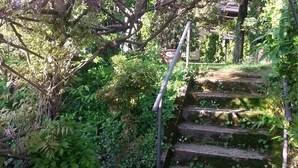 Una escalera de piedra que sube hacia una pérgola de madera con flores moradas.