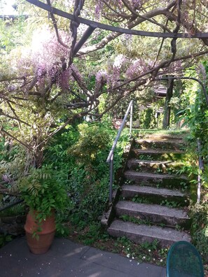 المنطقة المحيطة بالمنشأة