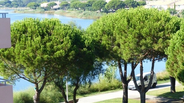 Une vue d’un lac, avec des arbres au premier plan et des bâtiments en arrière-plan.