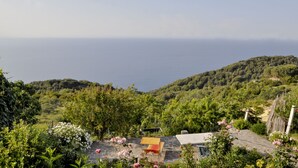 Paisaje costero con vista al mar, abundante vegetación y un sendero de piedra que lleva a una estructura amarilla.