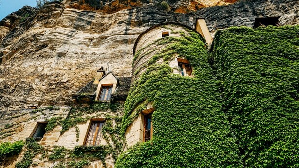 A building with multiple windows, some covered by ivy, and a rugged, rocky cliff in the background. -  Charming riverside stone built  property in Perigord (La Roque-Gageac)