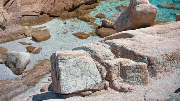 Eine felsige Küstenlinie mit klarem, türkisblauem Wasser und einem einzelnen Baum.