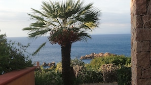 Eine Terrasse mit einer Palme, Blick auf das Meer und Felsformationen.