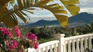 Un balcon offrant une vue sur un paysage montagneux et une végétation luxuriante.