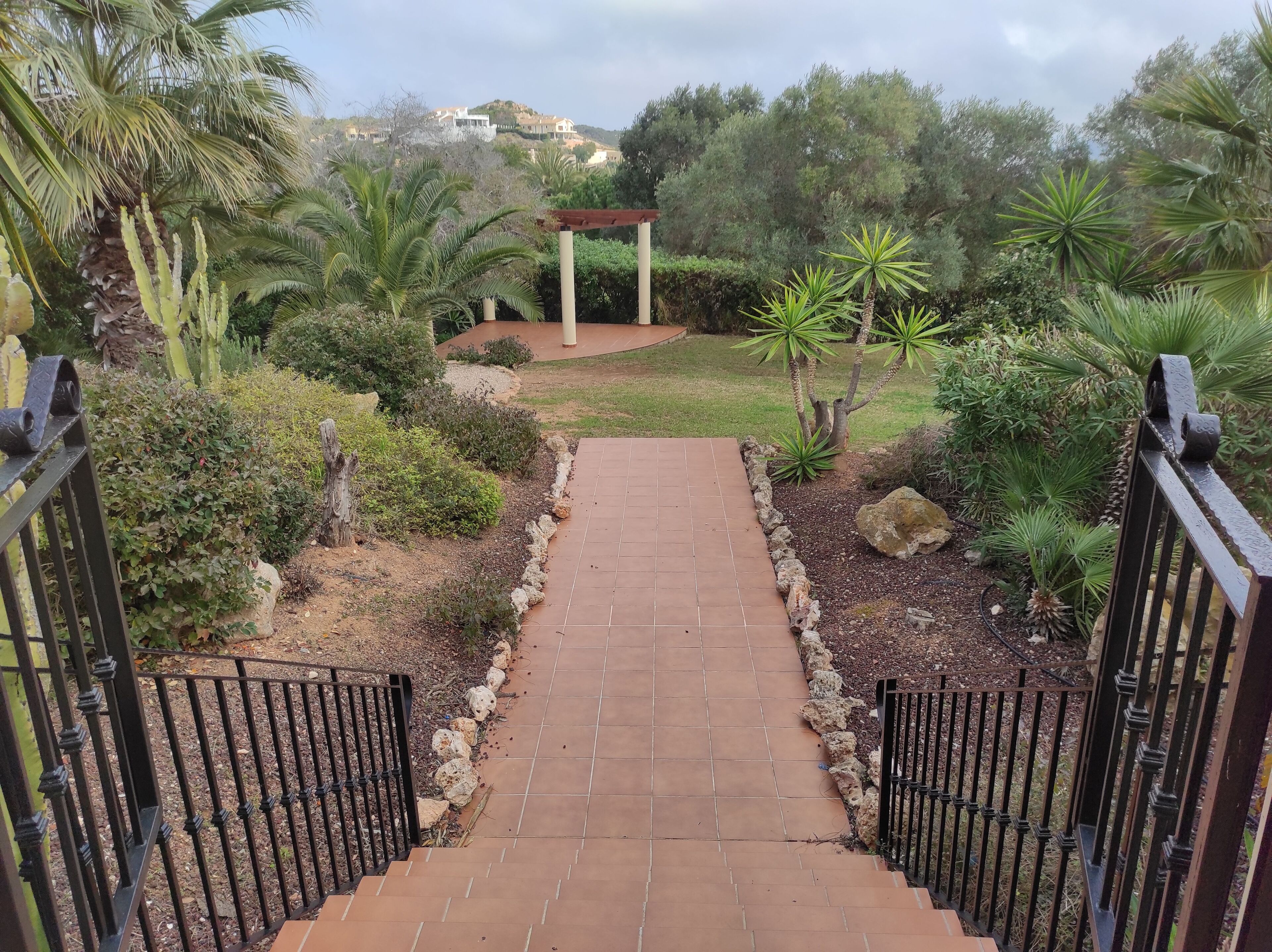 A paved pathway leading to a white gazebo surrounded by lush greenery and palm trees.