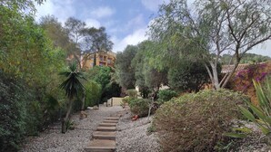 Un chemin de jardin menant à un bâtiment doté de nombreux balcons, entouré de diverses plantes et arbres.