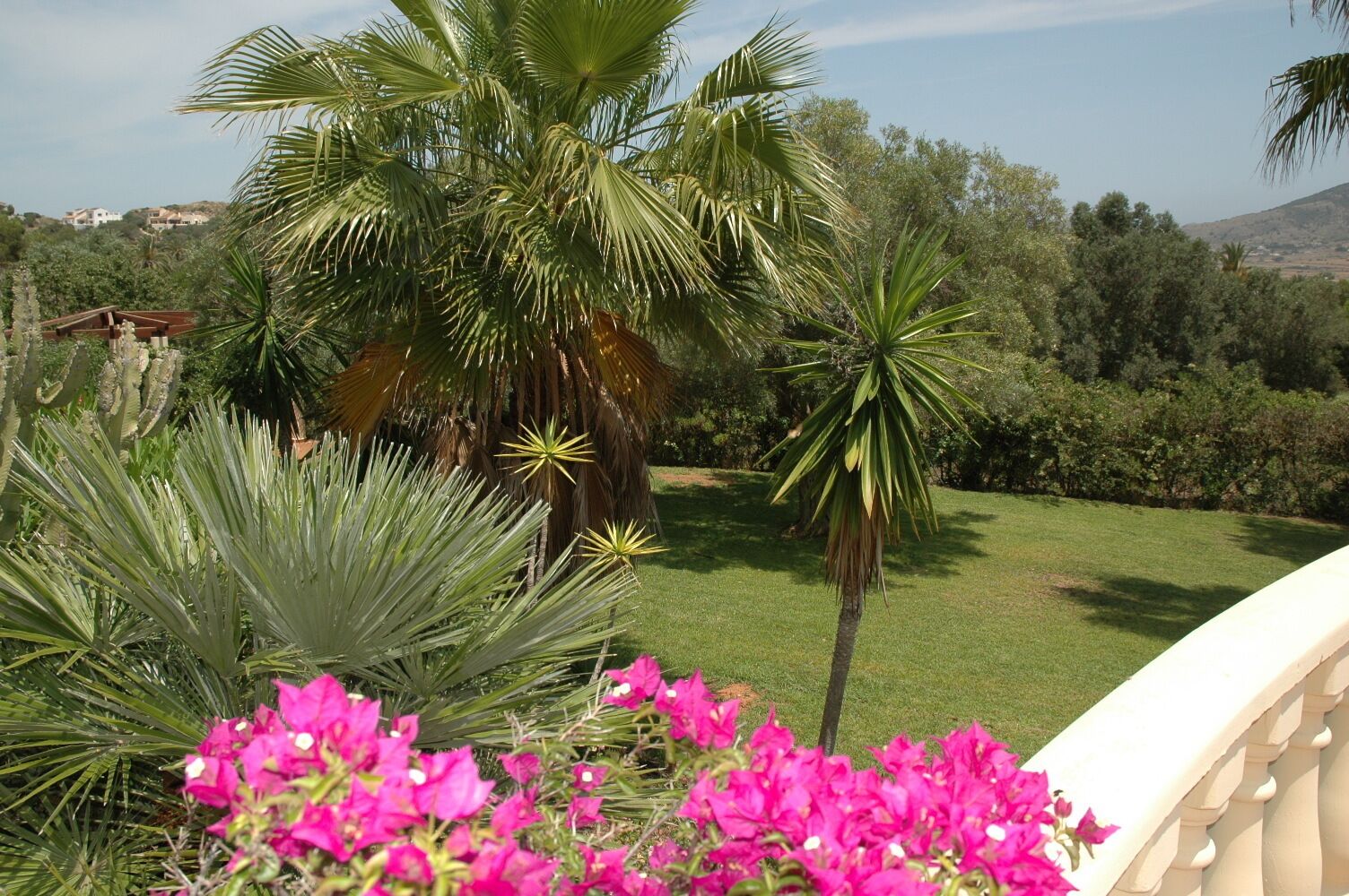 Een weelderige tuin met palmbomen, bougainvillea bloemen en een verzorgd gazon.