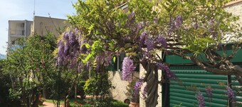 "Villa Ella" con jardín a 5 minutos de Pompeya