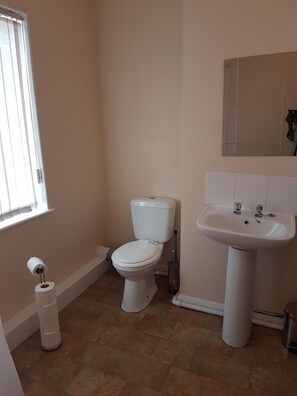 Combined shower/tub, hair dryer, towels, shampoo