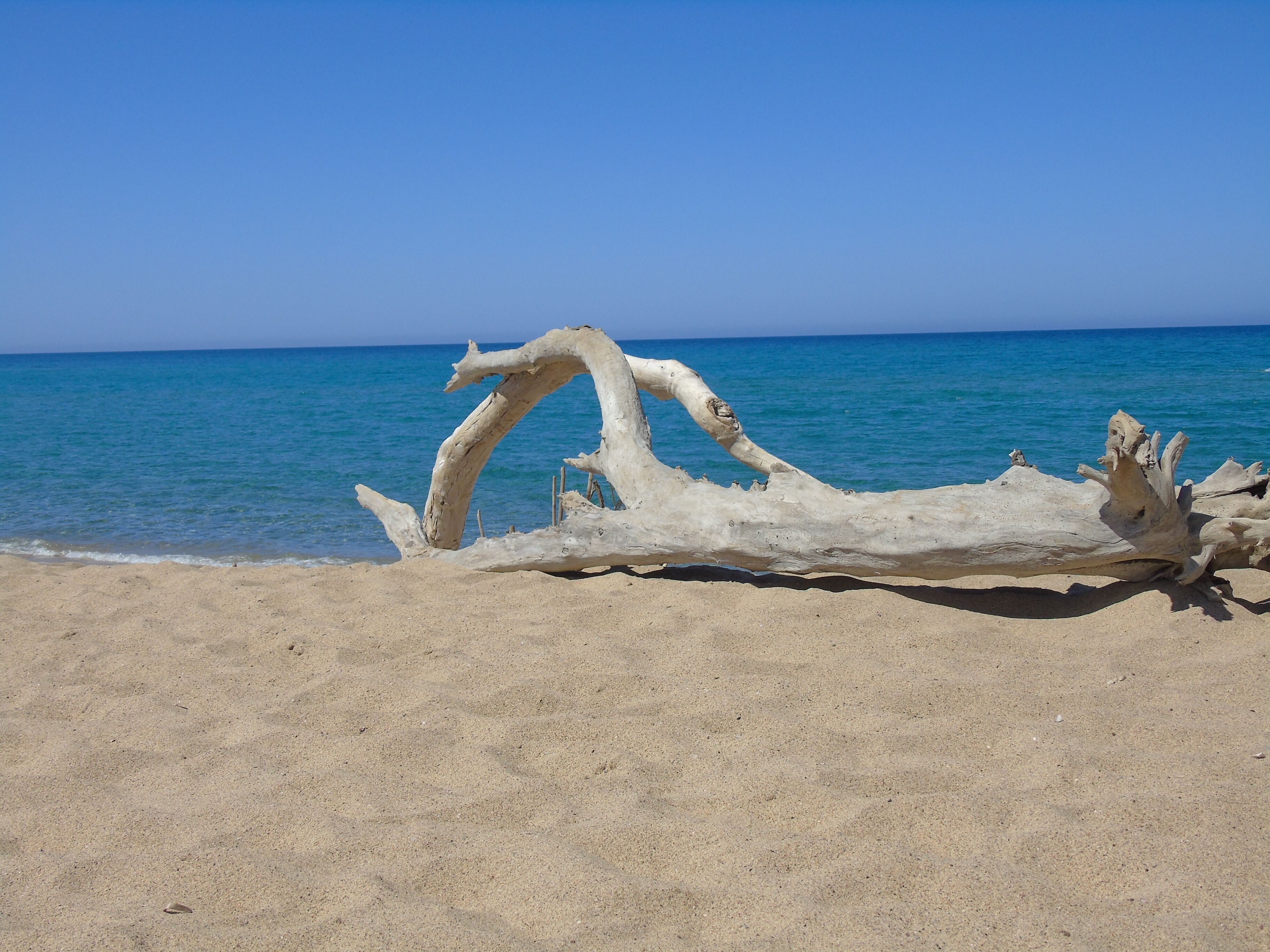 Chaises longues, serviettes de plage