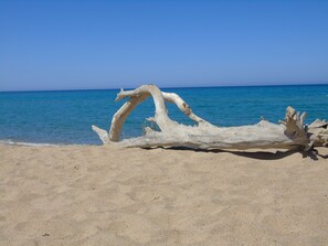 A driftwood piece on a sandy beach with a clear blue sea in the background. - Villa Graziosa (Quartu sant'Elena)