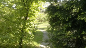 Een smal stenen pad, omringd door weelderige groene begroeiing.