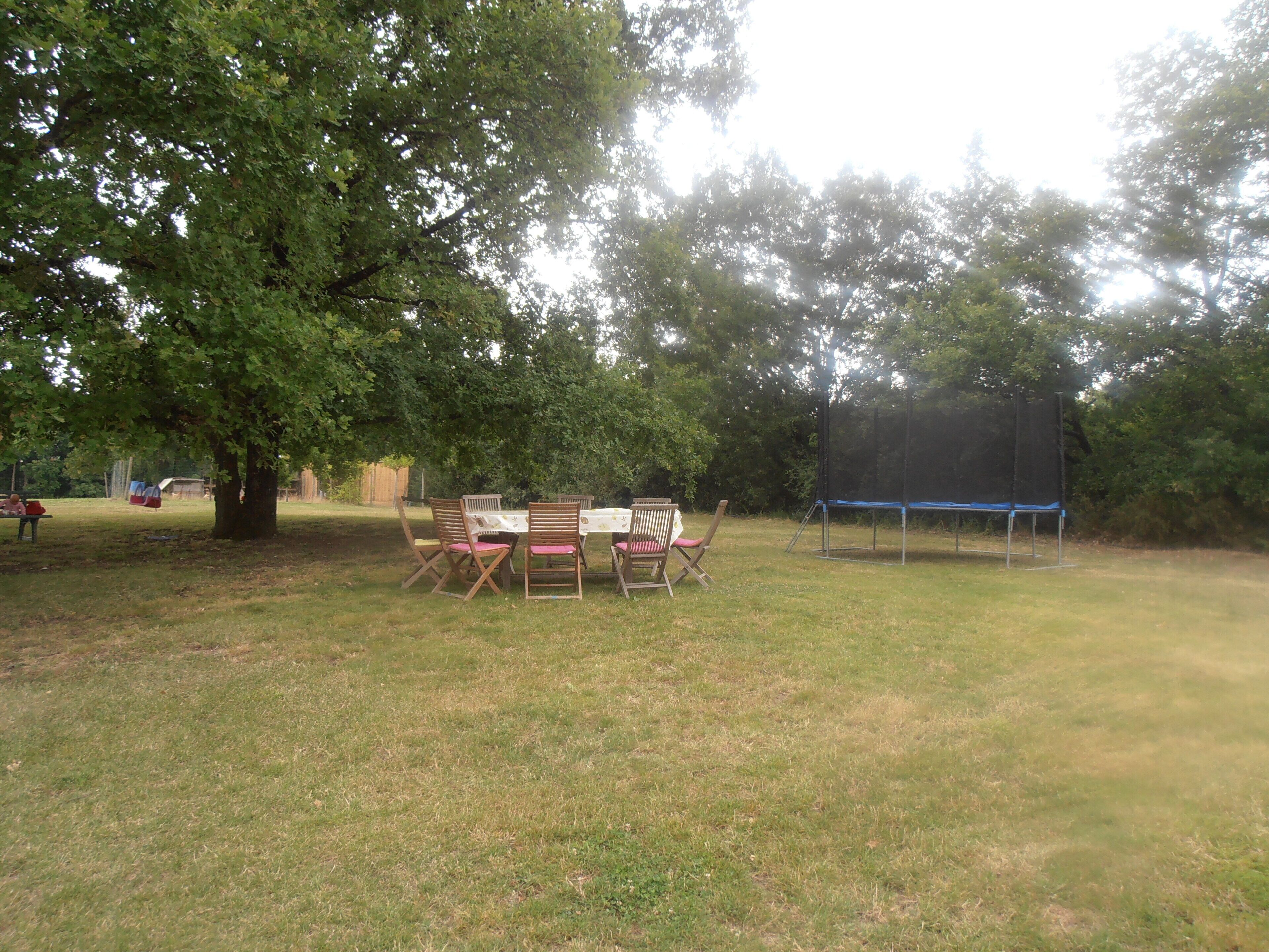 Un espace extérieur verdoyant avec une table de pique-nique et des chaises, un trampoline et un grand arbre qui offre de l’ombre.