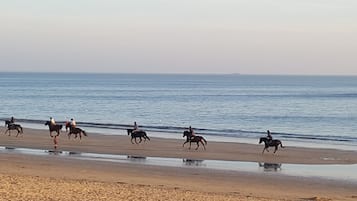 Plage à proximité, chaises longues