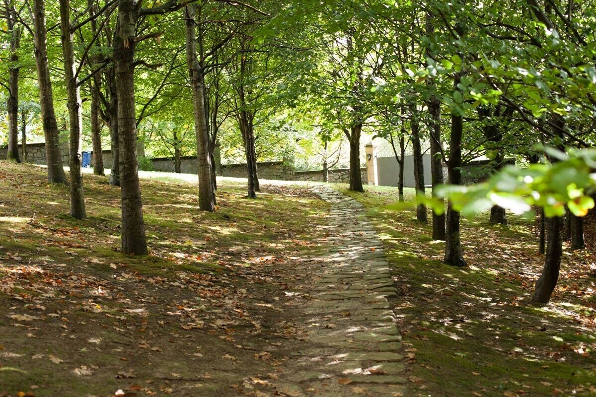 A stone pathway surrounded by trees in a park-like setting.