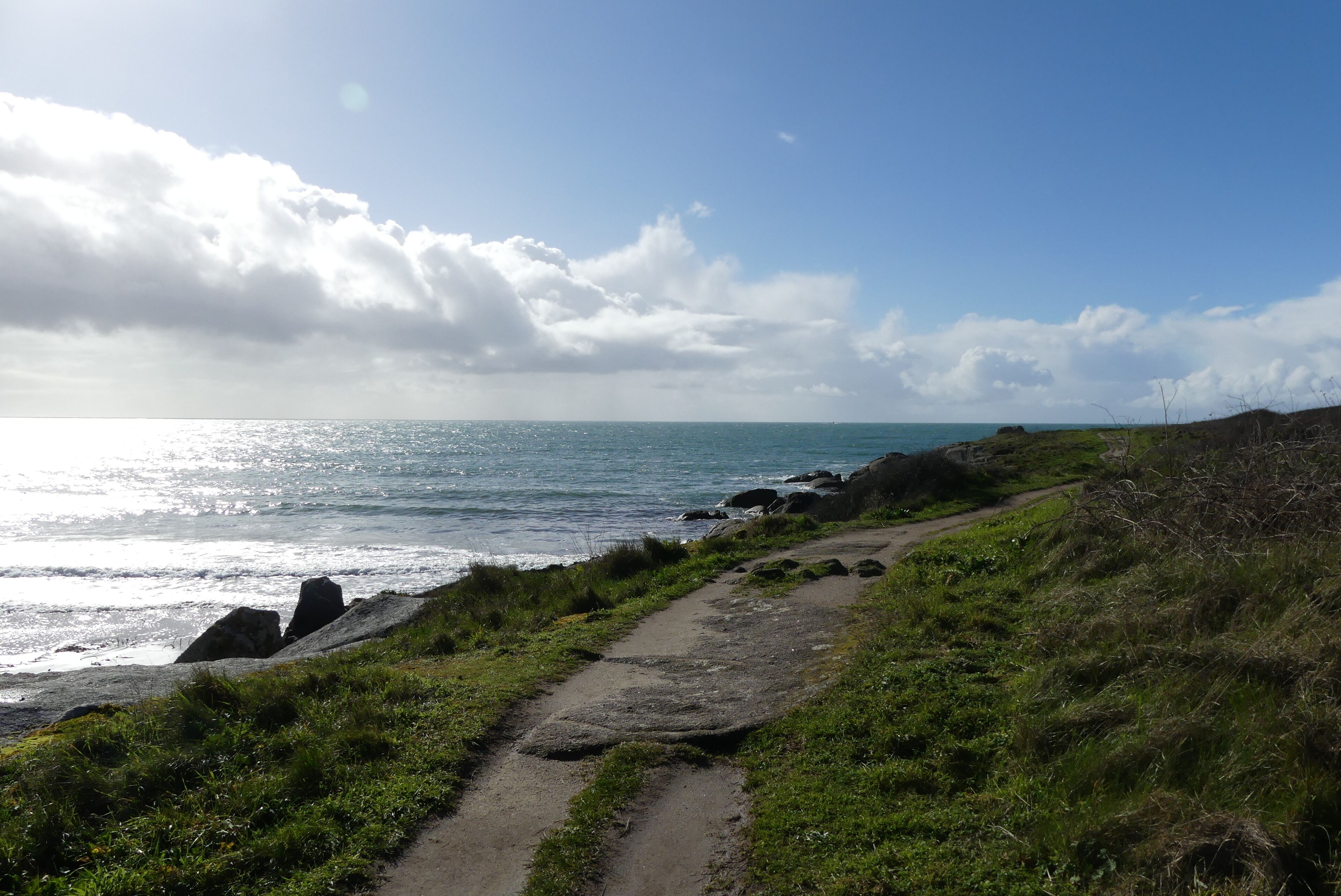 A coastal path with a clear view of the ocean and rocky outcrops.