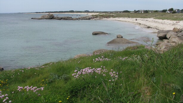 Eine Küstenlandschaft mit Sandstrand, großen Felsen im Wasser und Wiesen mit Wildblumen.