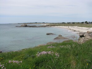 Un paisaje costero con una playa arenosa, grandes rocas en el agua y zonas verdes con flores silvestres.