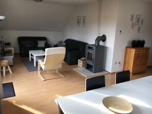 TV, fireplace, DVD player, books
