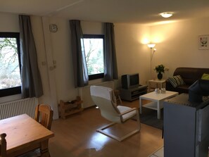 Télévision, cheminée, lecteur de DVD, livres