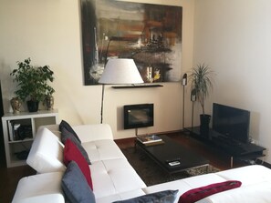 Smart TV, fireplace, books, music library