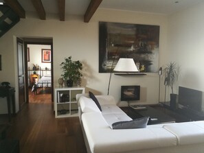 Smart TV, fireplace, books, music library