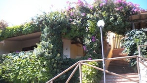 Un escalier avec une rampe métallique mène à un bâtiment entouré d’une végétation luxuriante et de fleurs violettes.