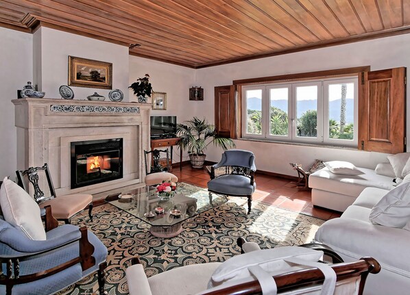Smart TV, fireplace, DVD player, books