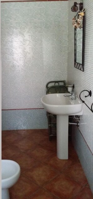Shower, hair dryer, bidet, towels