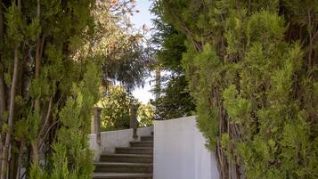 Área da propriedade