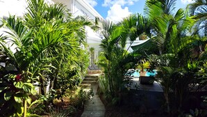 Un camino que lleva a un edificio rodeado de abundante vegetación y una zona de piscina.
