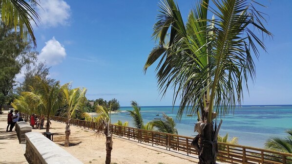 A beachside walkway with palm trees, a wooden fence, and a view of the ocean.