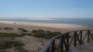Plage à proximité, chaises longues