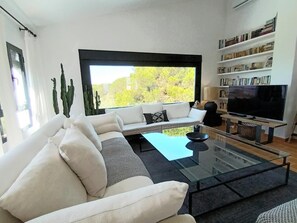 TV connectée, cheminée, lecteur de DVD, livres