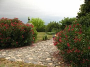 Property grounds - Rochecolombe: Apartment/ flat - ROCHECOLOMBE (Rochecolombe)